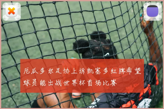 厄瓜多尔足协上诉凯塞多红牌希望球员能出战世界杯首场比赛
