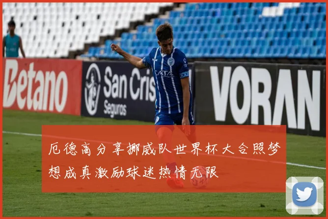厄德高分享挪威队世界杯大合照梦想成真激励球迷热情无限