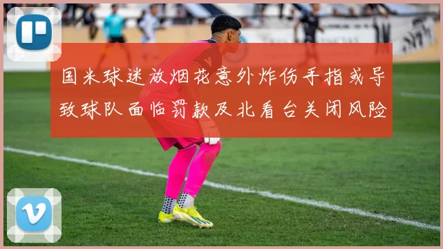 国米球迷放烟花意外炸伤手指或导致球队面临罚款及北看台关闭风险