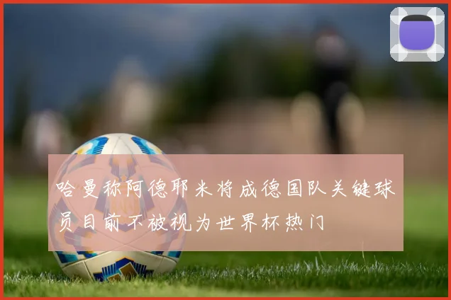 哈曼称阿德耶米将成德国队关键球员目前不被视为世界杯热门