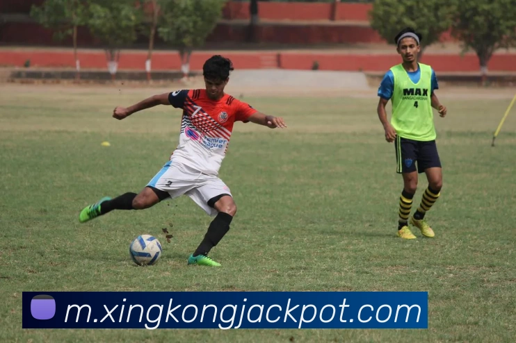 星空体育平台生态图