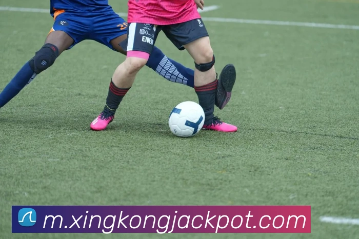 星空体育APP 封面图